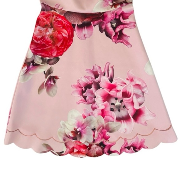 Ted Baker London Seena Splendour Mini Short Floral Pink Dress, Size 2 (US 6) - Picture 6 of 12